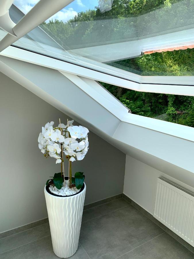 Six - One Seven Apartment Koblenz  Bagian luar foto